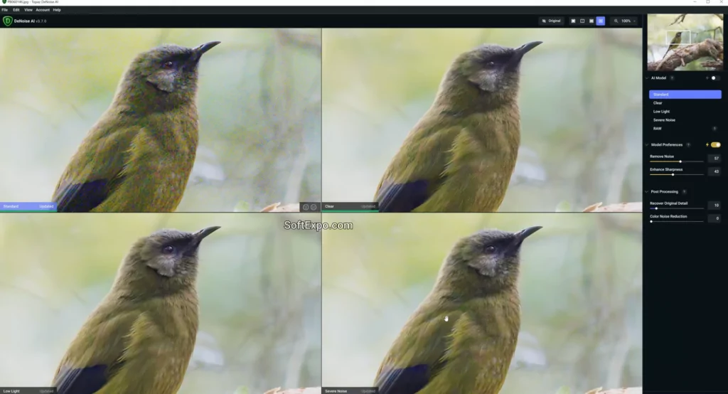 Topaz Photo AI 4.0.2 cracked interface applying Super Focus AI to a portrait