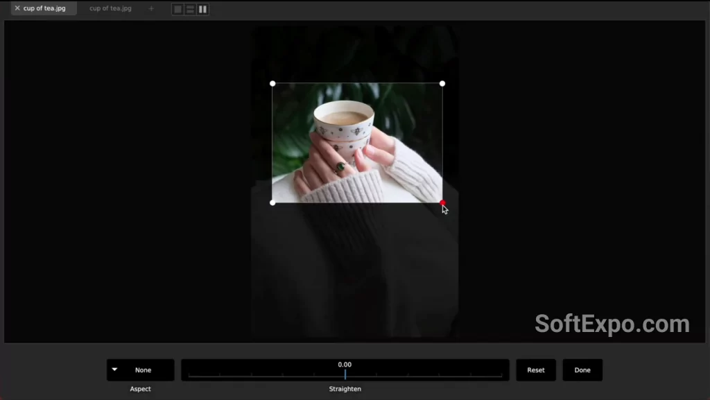 CameraBag Pro free download