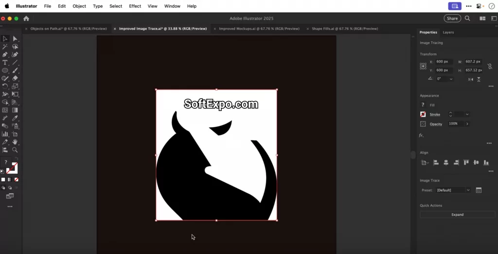Adobe Illustrator 2025 v29.7.1.8 interface with vector logo artboards