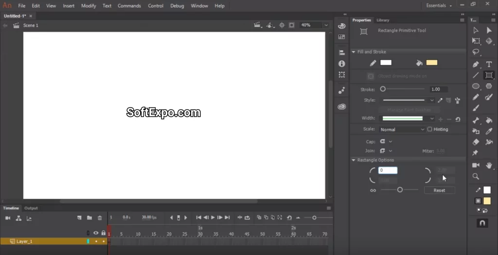 Vector and bitmap layers combined in one Animate scene