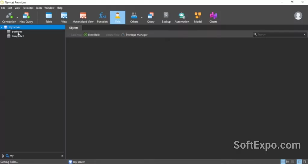Navicat Premium 17 Model Workspace with tables and relations