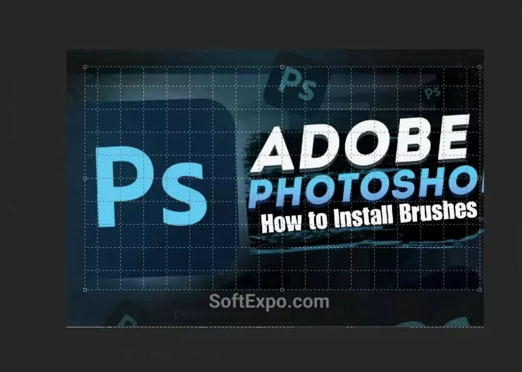 Perspective Crop Tool