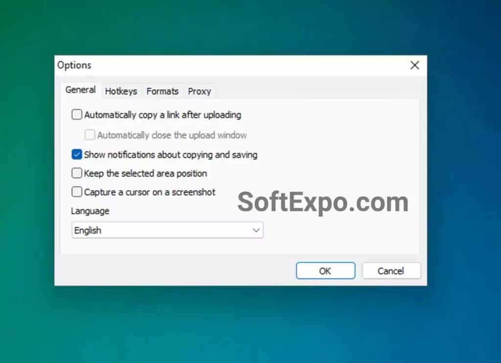 Pre-activated LightShot save options window on Windows 11