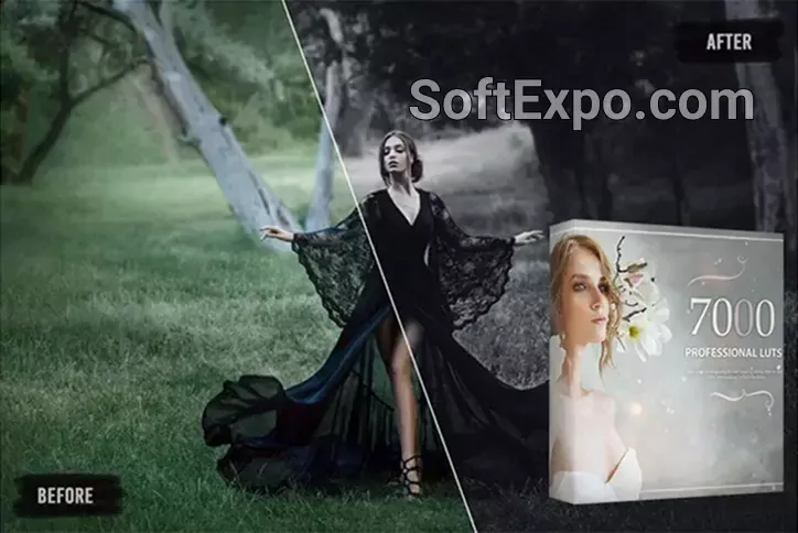 Avanquest 7000+ Professional LUTs 1.0.0 Example